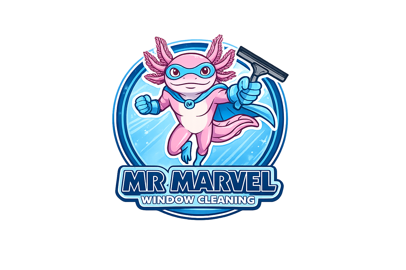 Mr. Marvel Window Cleaning